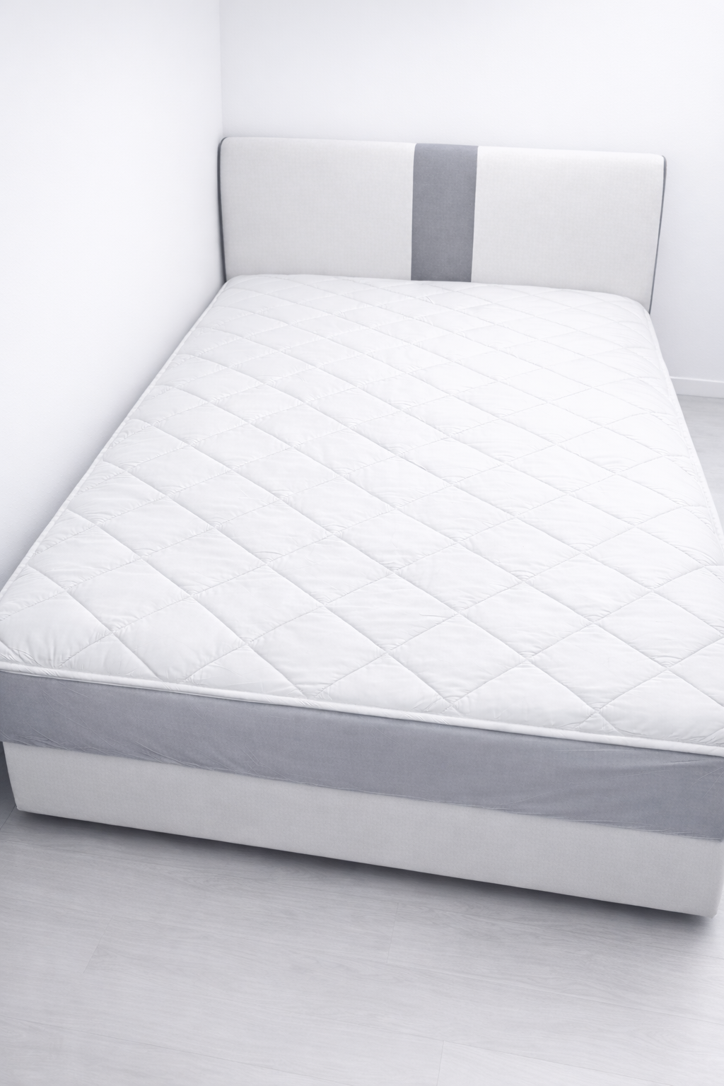 Ginko Mind