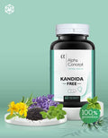 Alpha Concept Kandida Free
